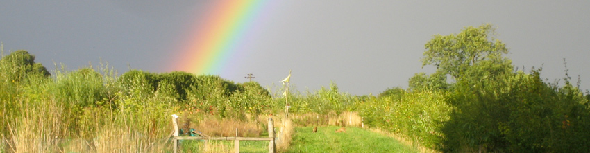 a woodland parent and child group